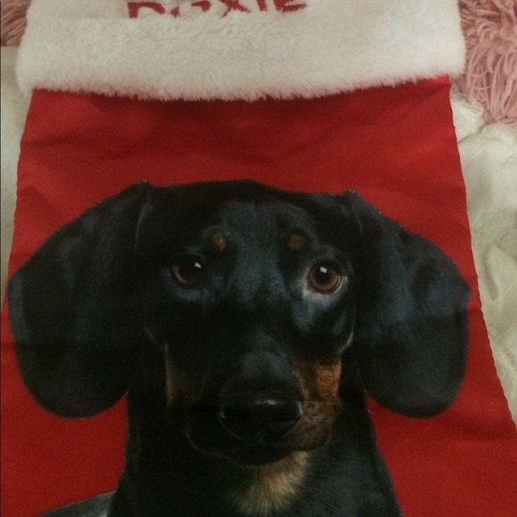 I ❤️ My Doxie Doggy 🐶 Stocking!! - Picture 7 of 7